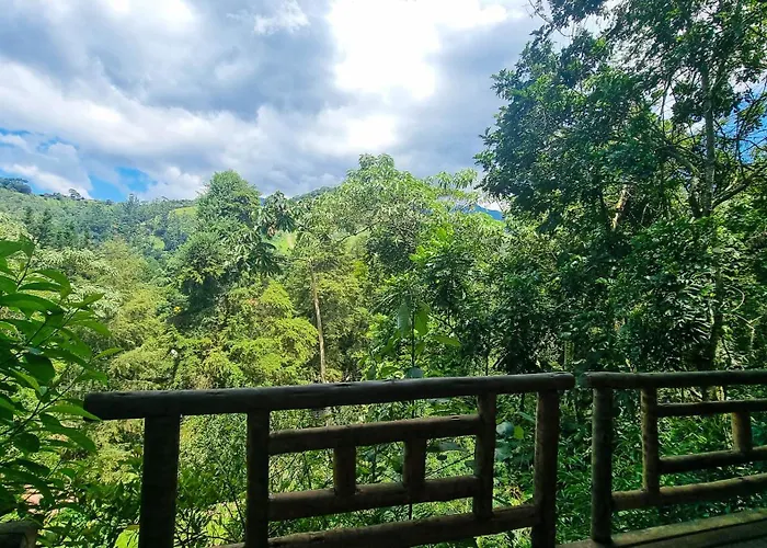 Villa Gatto Chales - Visconde De Maua