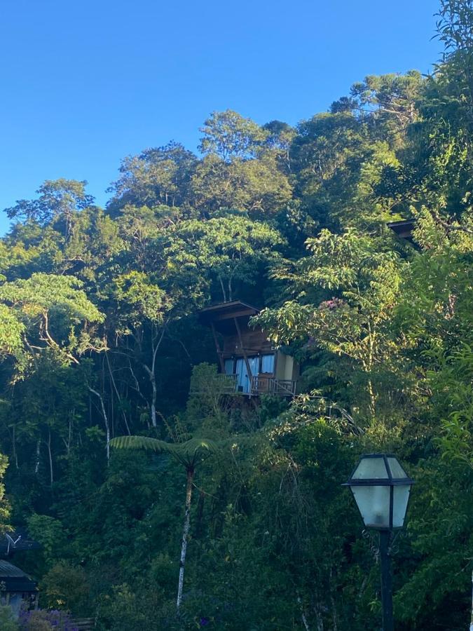 Gatto - Visconde De Maua