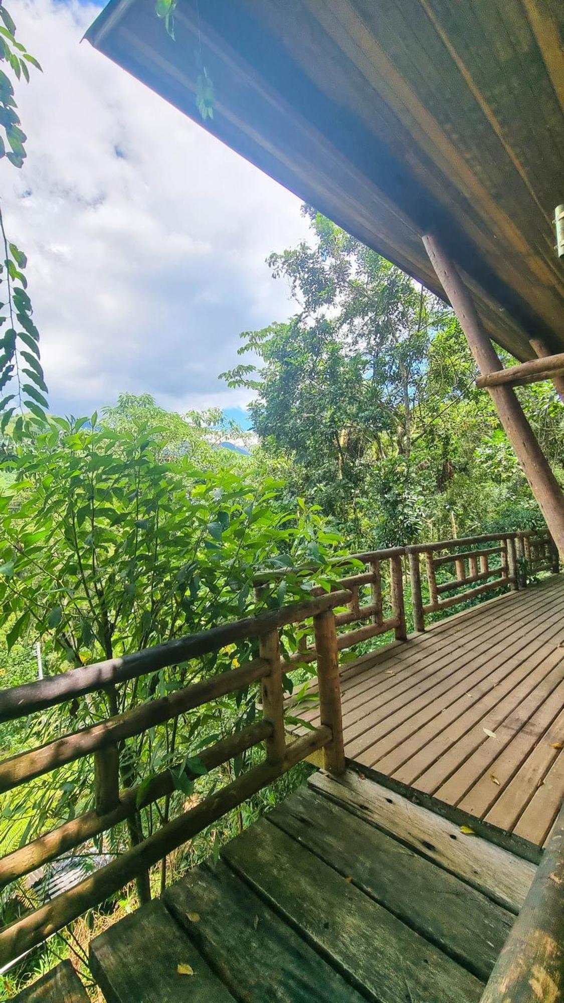 Lodge Gatto - Visconde De Maua *
