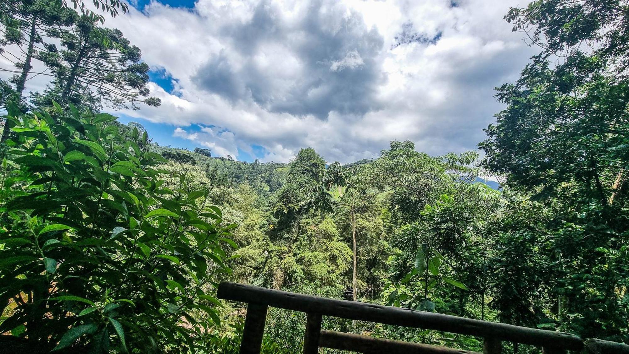 Gatto - Visconde De Maua