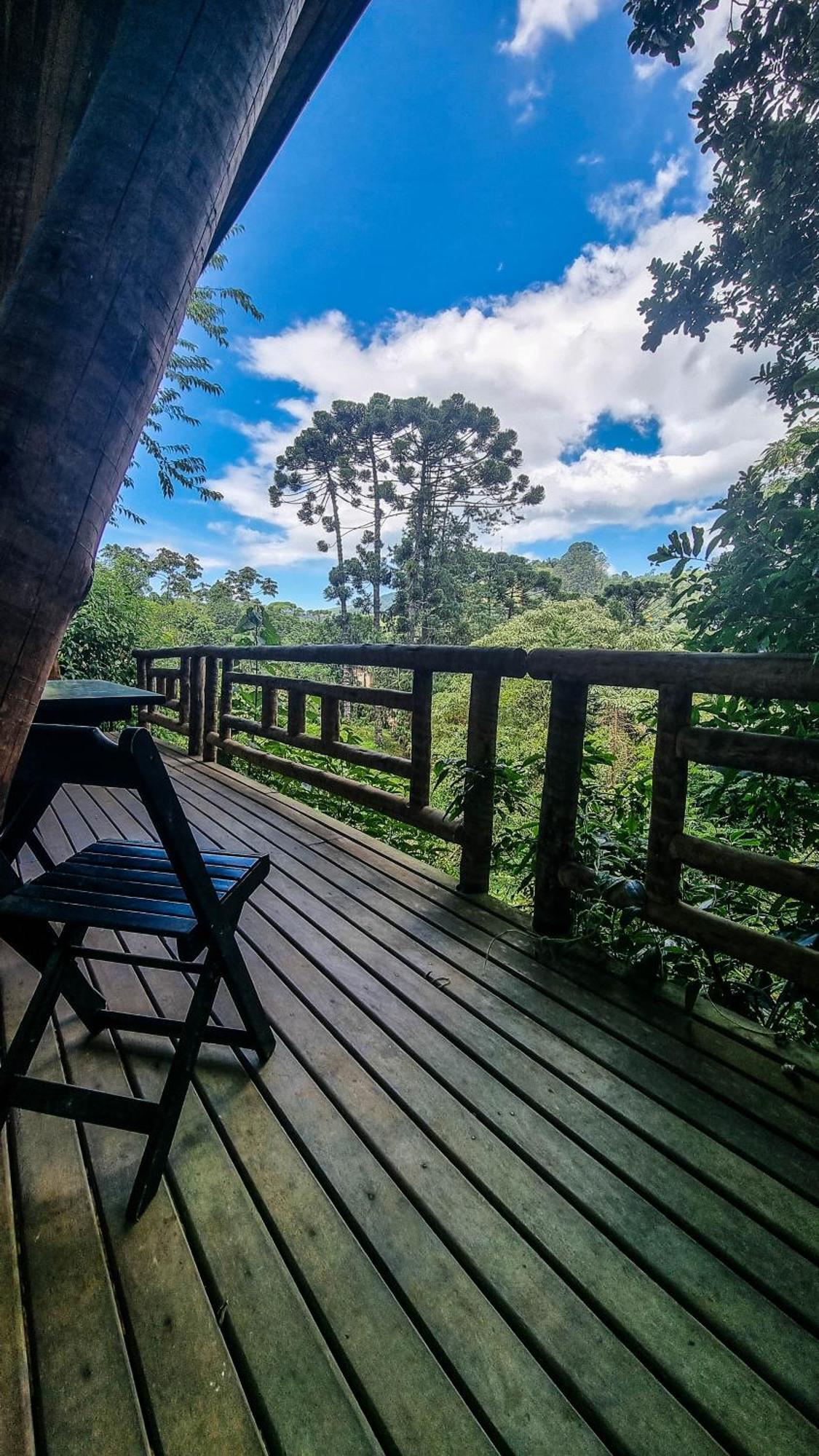 Lodge Gatto - Visconde De Maua *