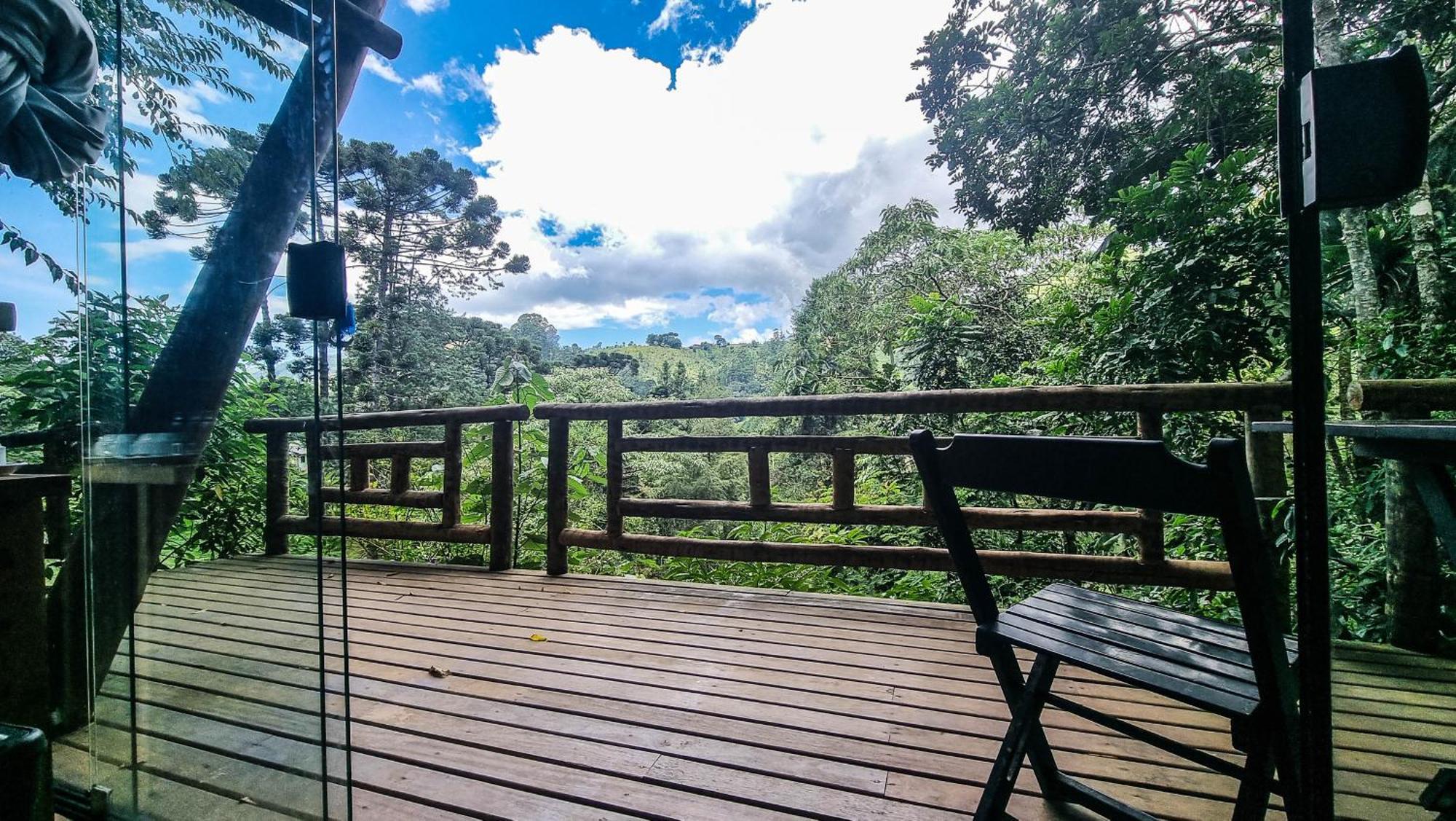 Gatto - Visconde De Maua Lodge Bocaina de Minas